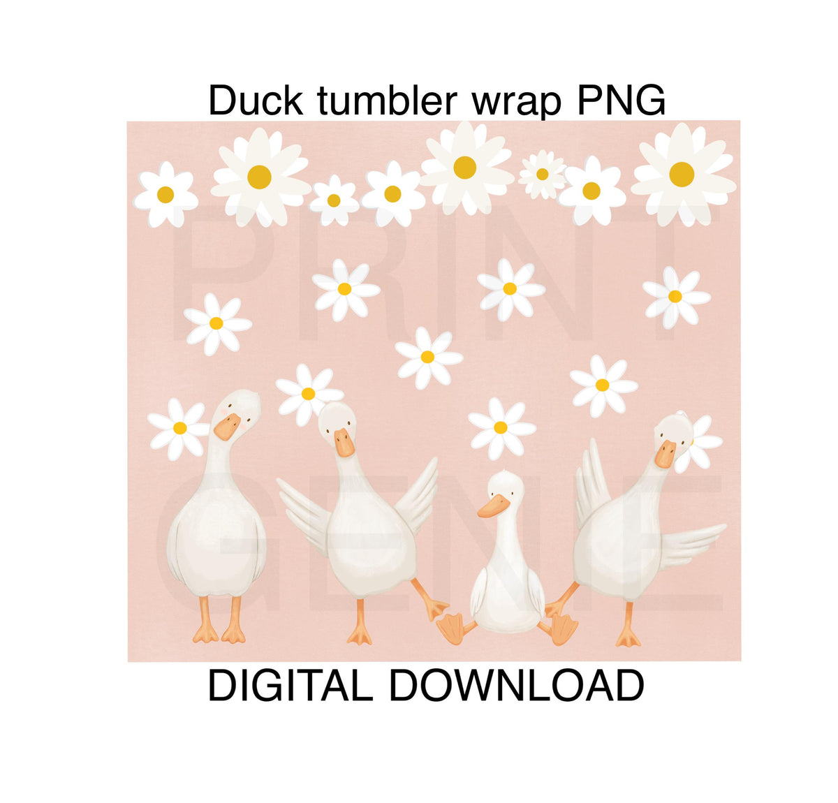 Goose Duck Tumbler Wrap PNG | Daisy Floral 20oz Skinny Tumbler Design