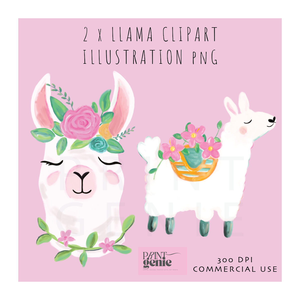 LLAMA PNG CLIPART, FLORAL LLAMA CLIP ART, CUTE ALPACA PNG, WATERCOLOR LLAMA ILLUSTRATION, NURSERY SUBLIMATION DESIGN, COMMERCIAL USE