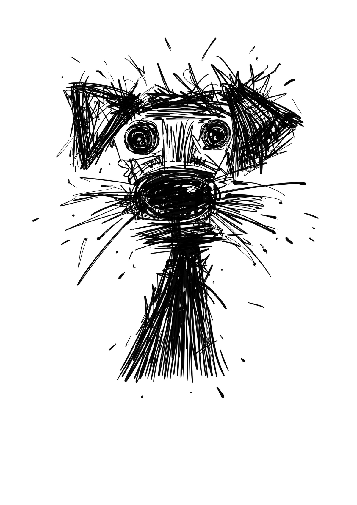 SQUIGGLE DOG