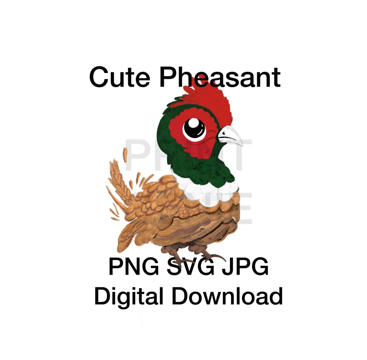 Cute Pheasant Bird PNG SVG JPG | Woodland Bird Clipart