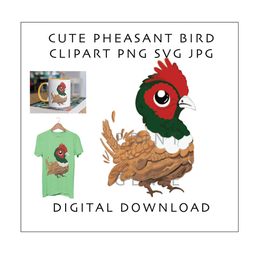 Cute Pheasant Bird PNG SVG JPG | Woodland Bird Clipart