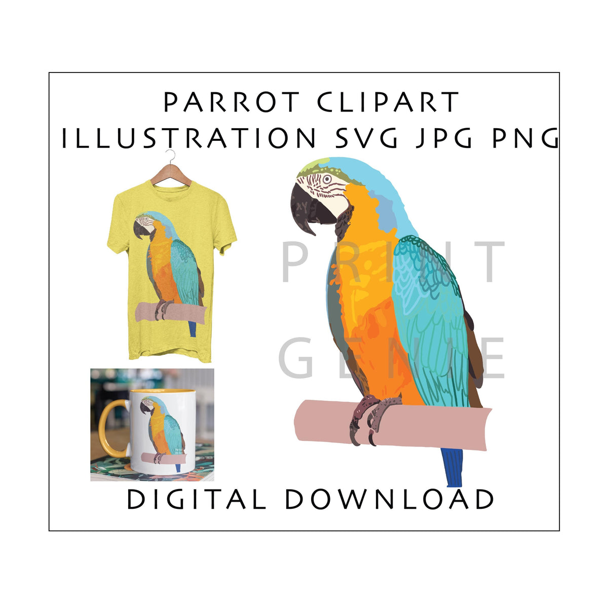Parrot SVG PNG Bundle | Tropical Bird Clipart