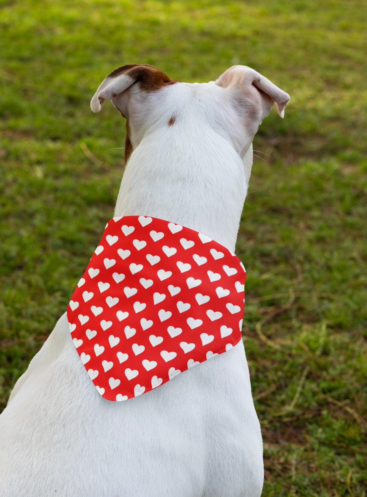 Red Heart Seamless Pattern Bundle | Valentine Digital Paper