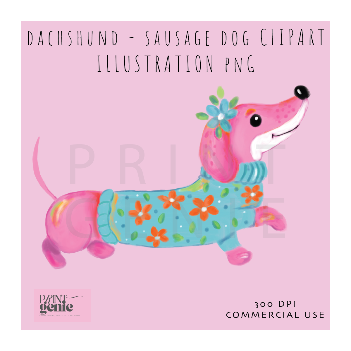 DASHSHUND DIGITAL CLIPART PNG